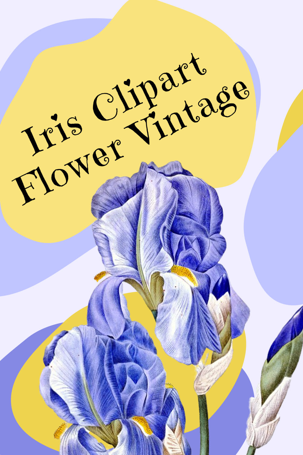 Iris Clipart Flower Vintage pinterest image.