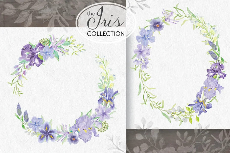 iris collection watercolor graphics.