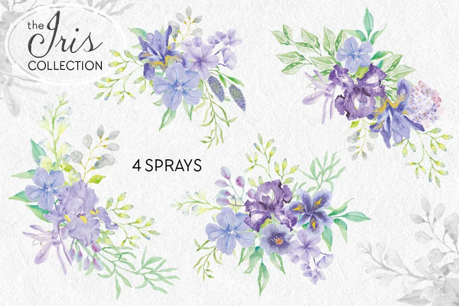 iris collection sprays.