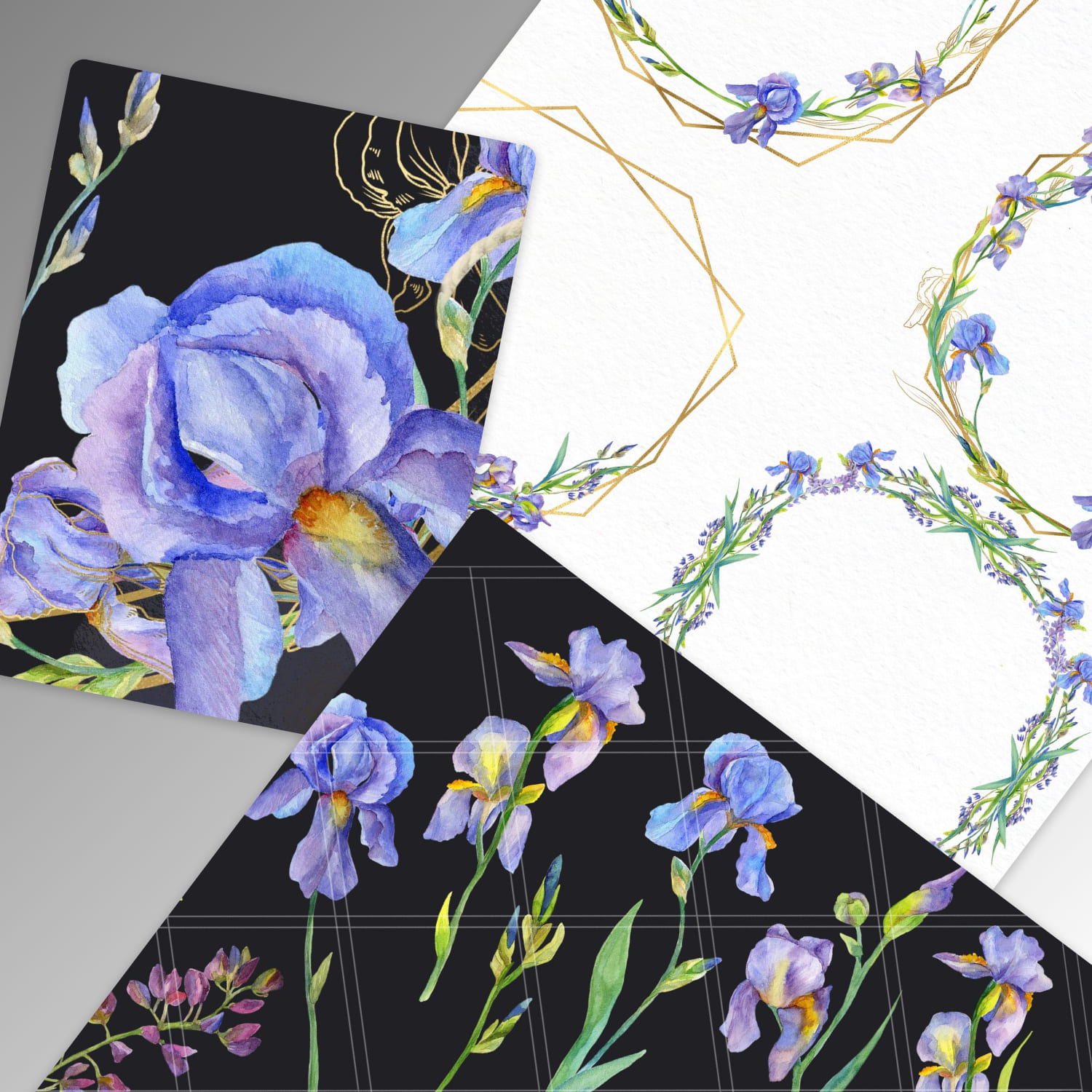 iris flower watercolor graphics.