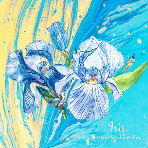 Iris Watercolor Illustration cover image.
