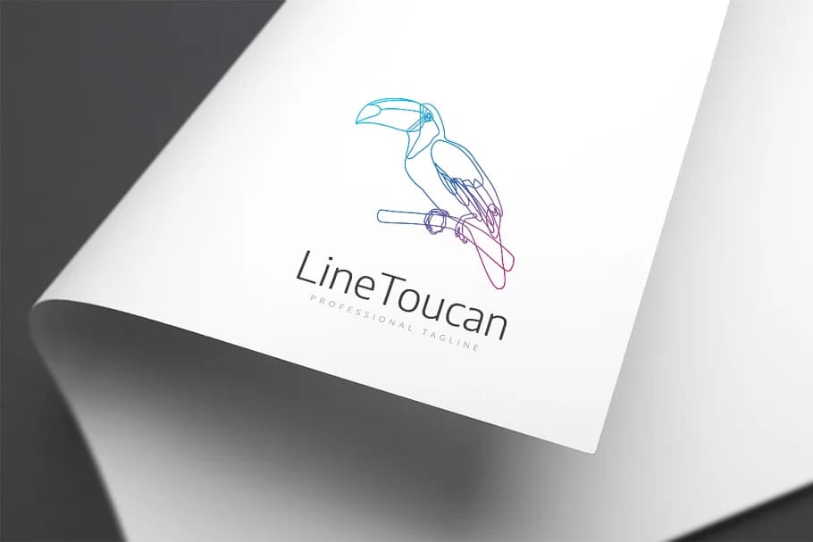 line toucan logo graphics.