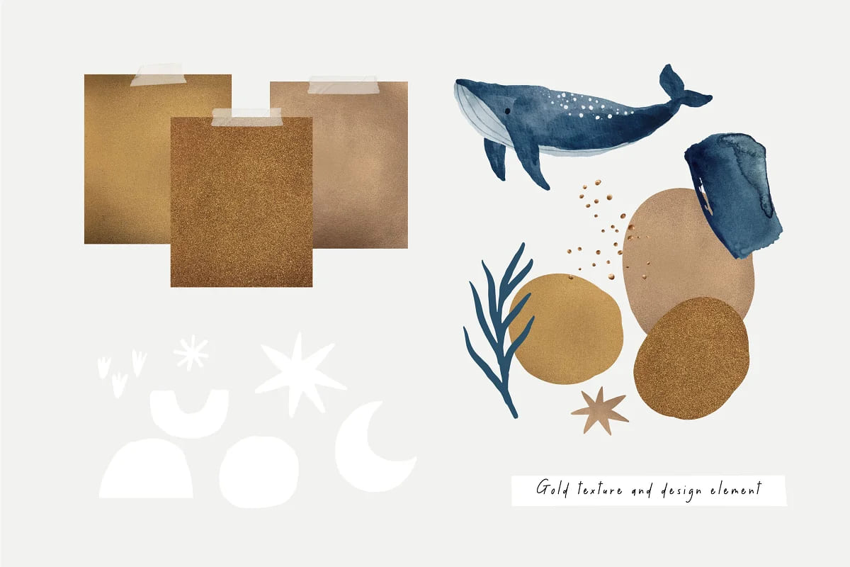 magic ocean whales illustrations.