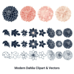 Modern Dahlia - Cliparts & Vectors Preview.