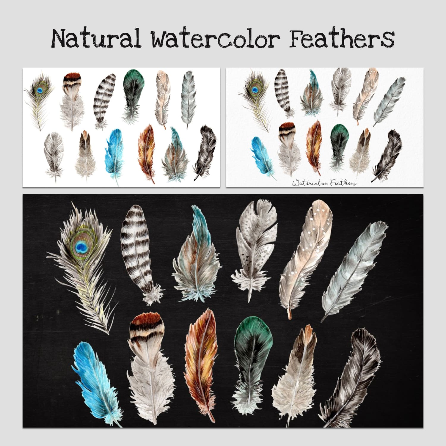 Natural Watercolor Feathers Collection cover image.