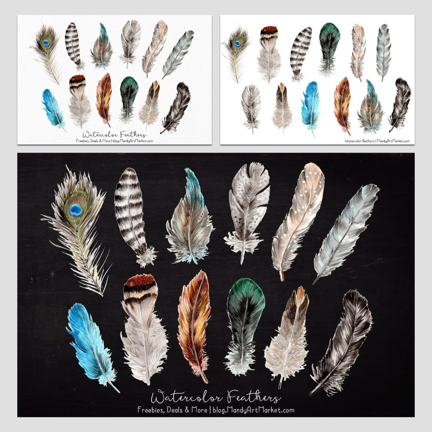 Natural Watercolor Feathers Collection preview image.