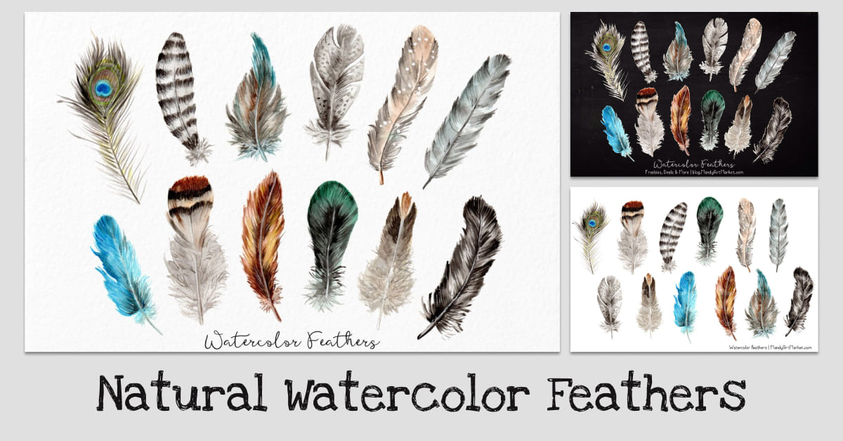 natural watercolor feathers.