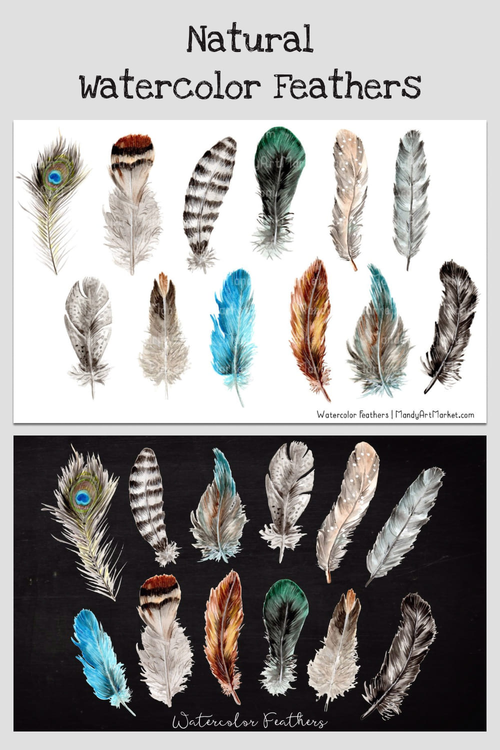 Natural Watercolor Feathers Collection pinterest image.