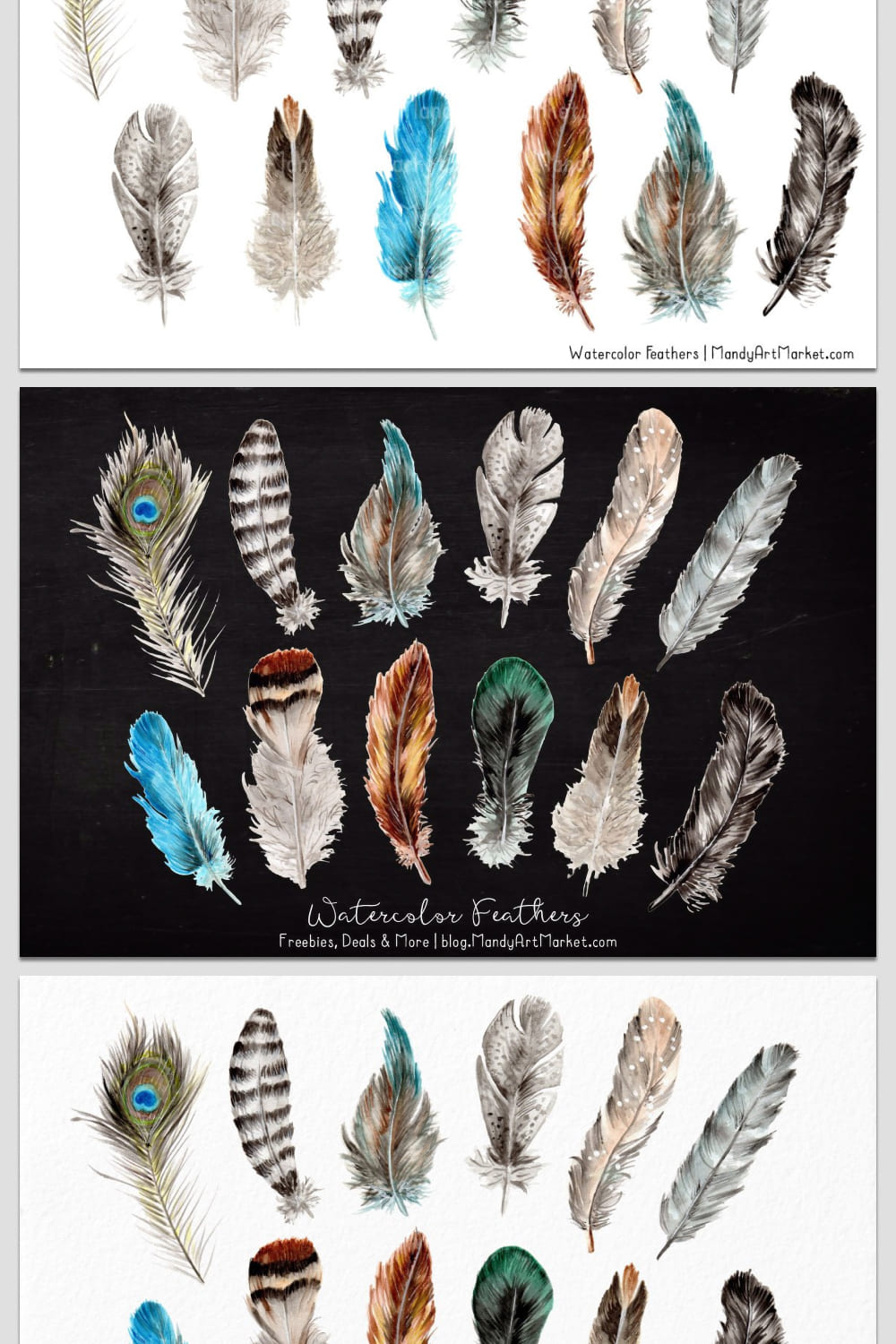 natural watercolor feathers set.