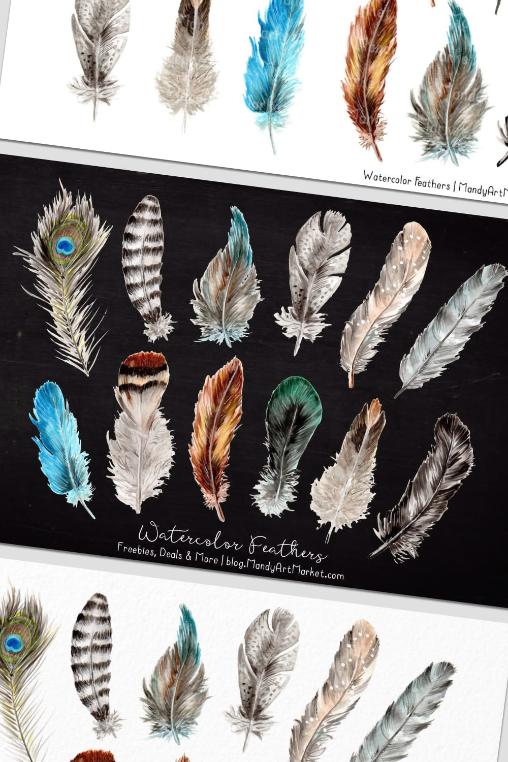 natural watercolor feathers graphics.