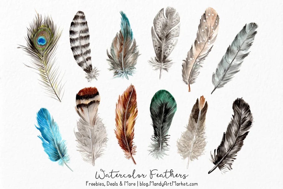 natural watercolor feathers hand drawn illustrations.