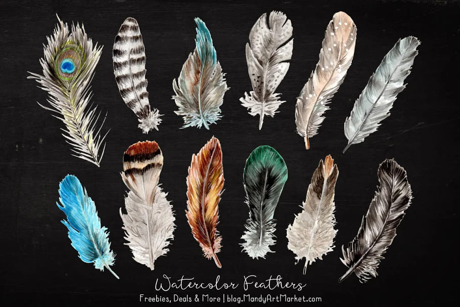 natural watercolor feathers hand drawn graphics.