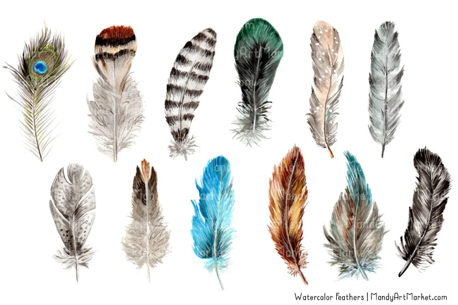 natural watercolor feathers hand drawn set.