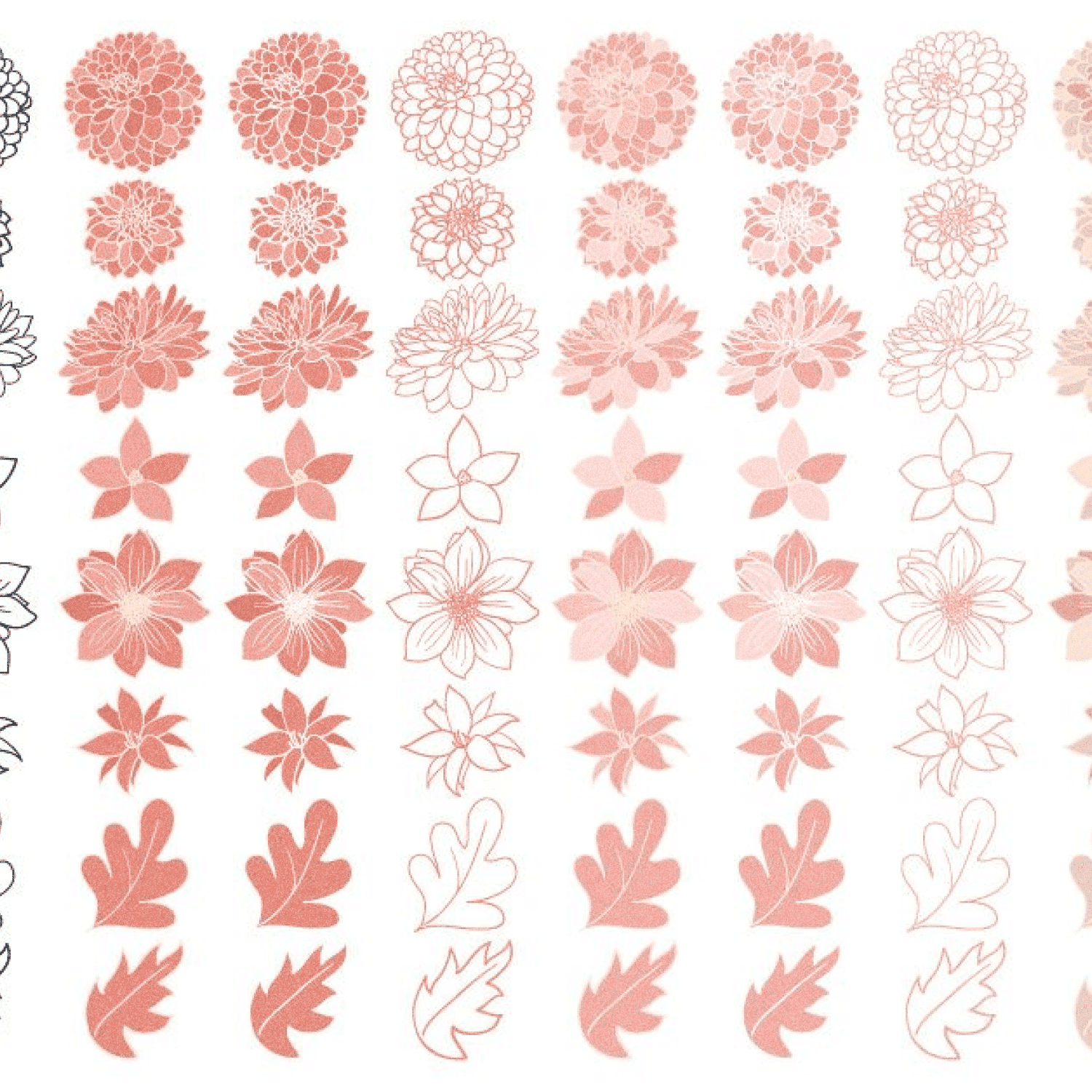 Navy & Pink Dahlia - Clipart Cover Image.