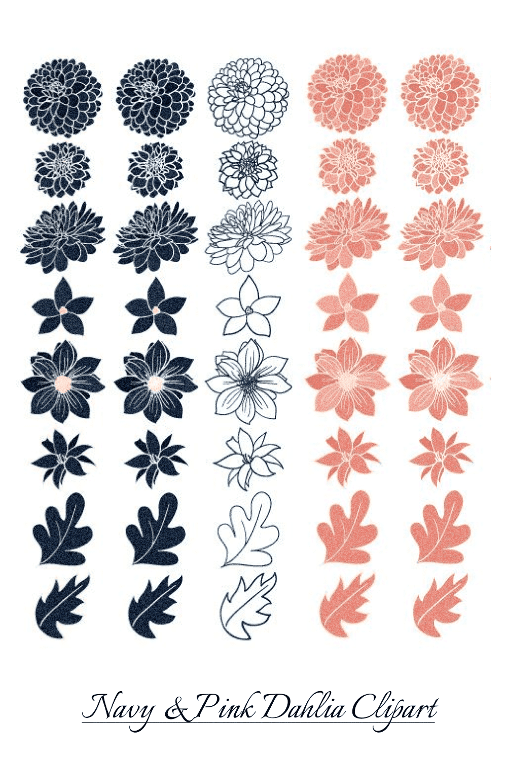 Navy & Pink Dahlia - Clipart - "Types Of Flowers Decoration".