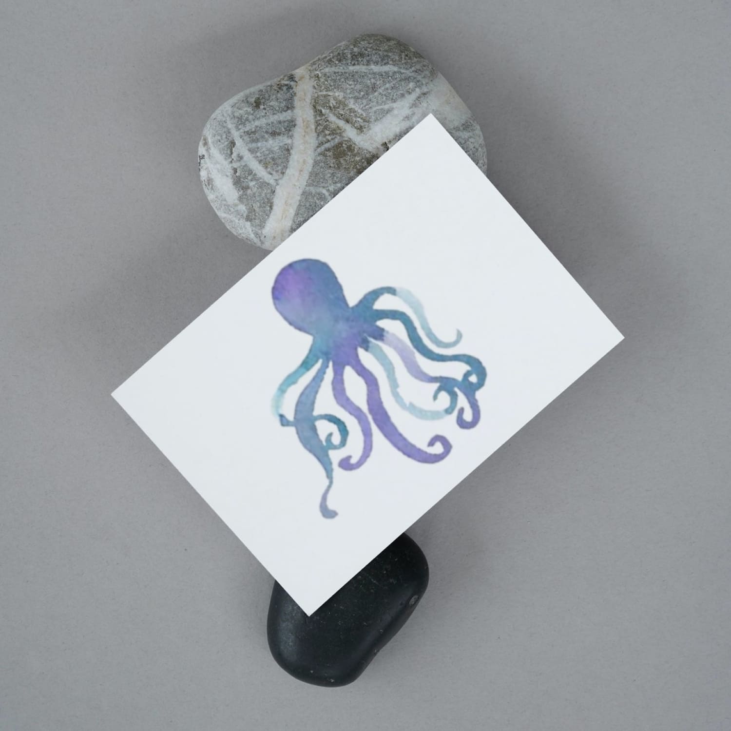 octopus watercolor clipart collection.