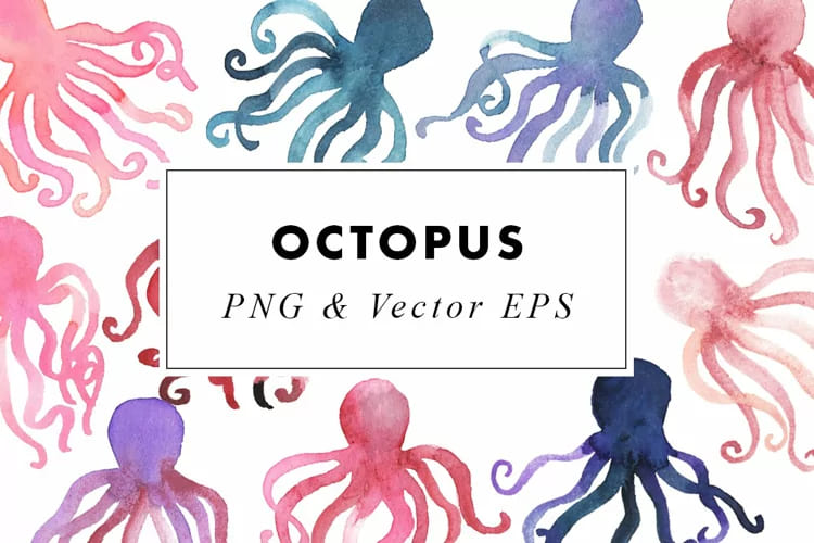 Octopus Watercolor Illustration |PNG & EPS Vector Clipart facebook image.