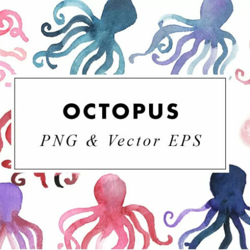 octopus watercolor illustration collection.