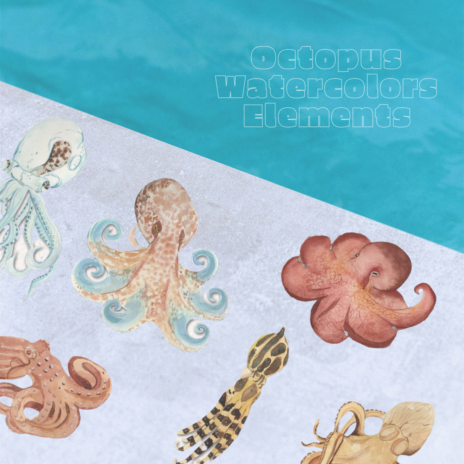 Octopus Watercolors Clipart Elements Tropical Ocean Sea cover image.