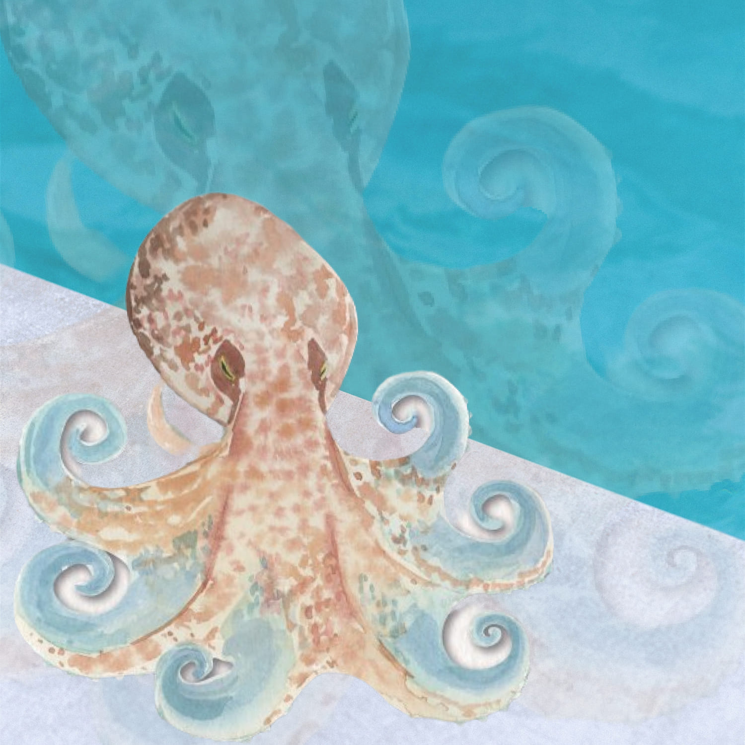 octopus watercolors illustrations.