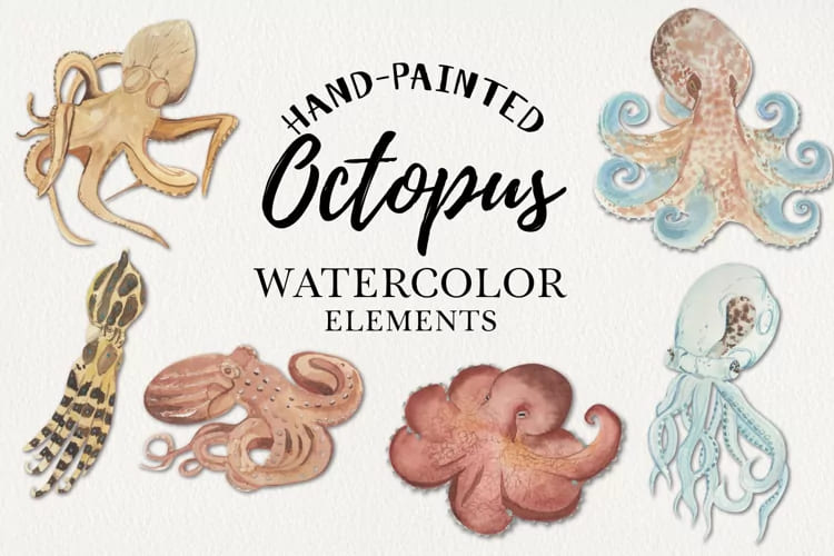 Octopus Watercolors Clipart Elements Tropical Ocean Sea facebook image.