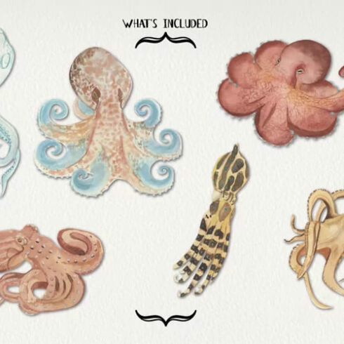 octopus watercolors elements set.