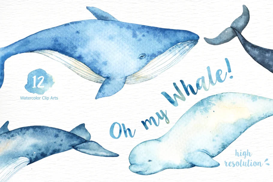 oh my whale images.