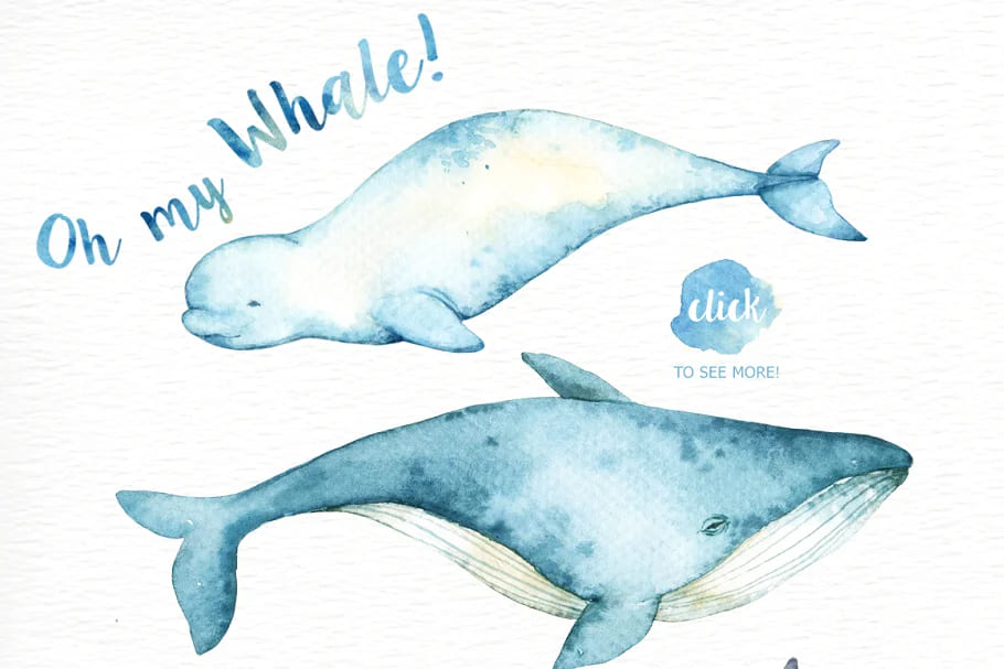 oh my whale illustrations.
