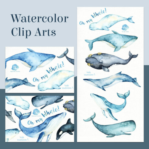 Oh My Whale! Watercolor Clip Arts cover image.