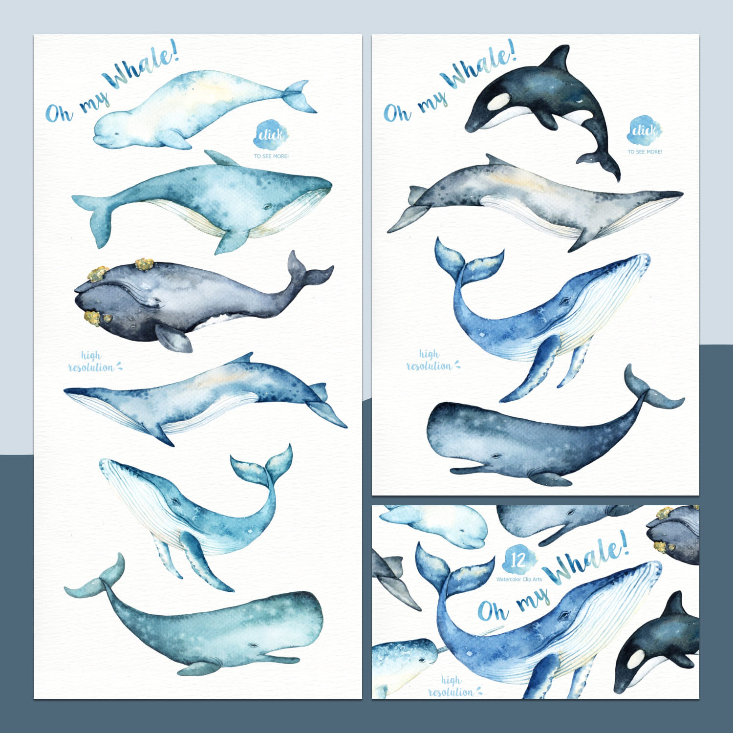 Oh My Whale! Watercolor Clip Arts preview image.