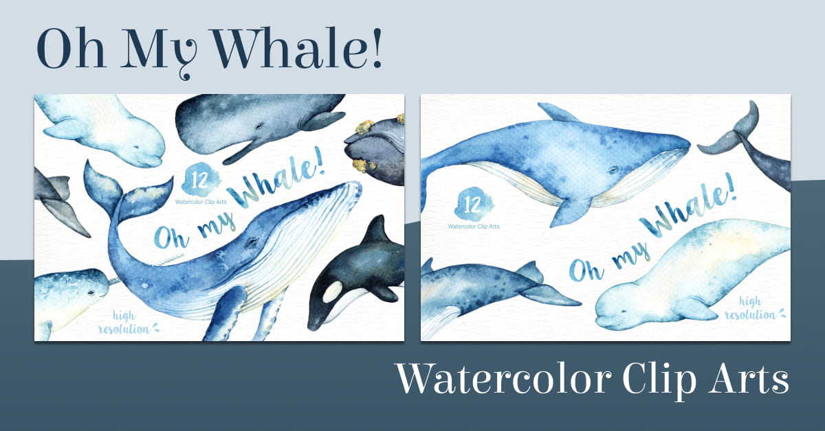 oh my whale watercolor clip arts collection.