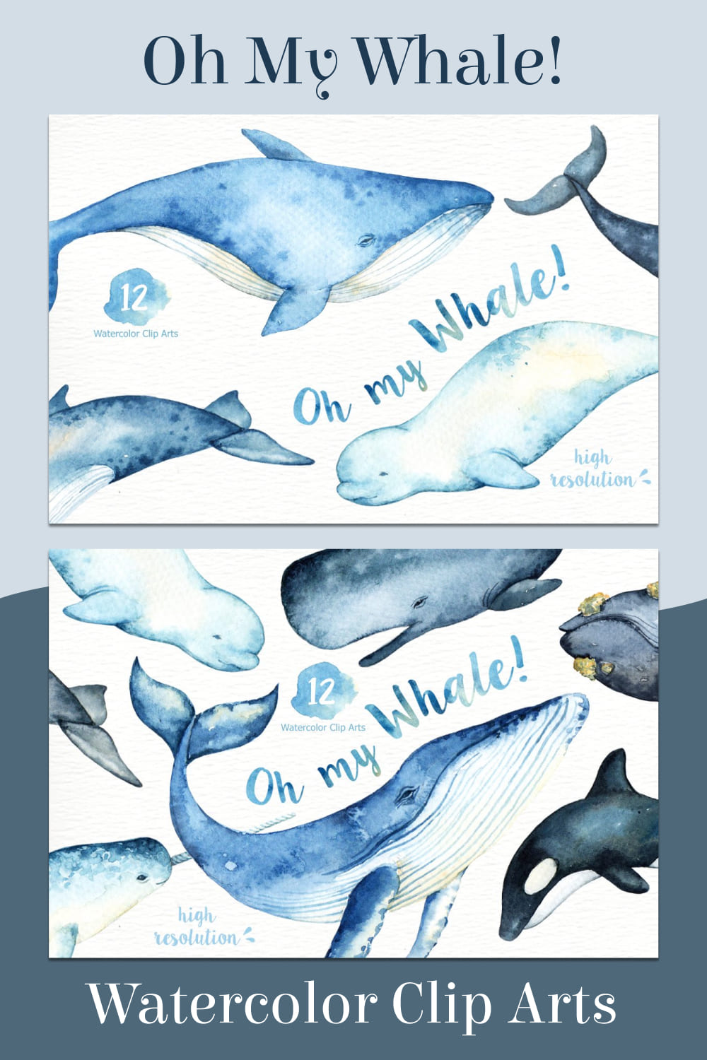 oh my whale watercolor clip arts set.