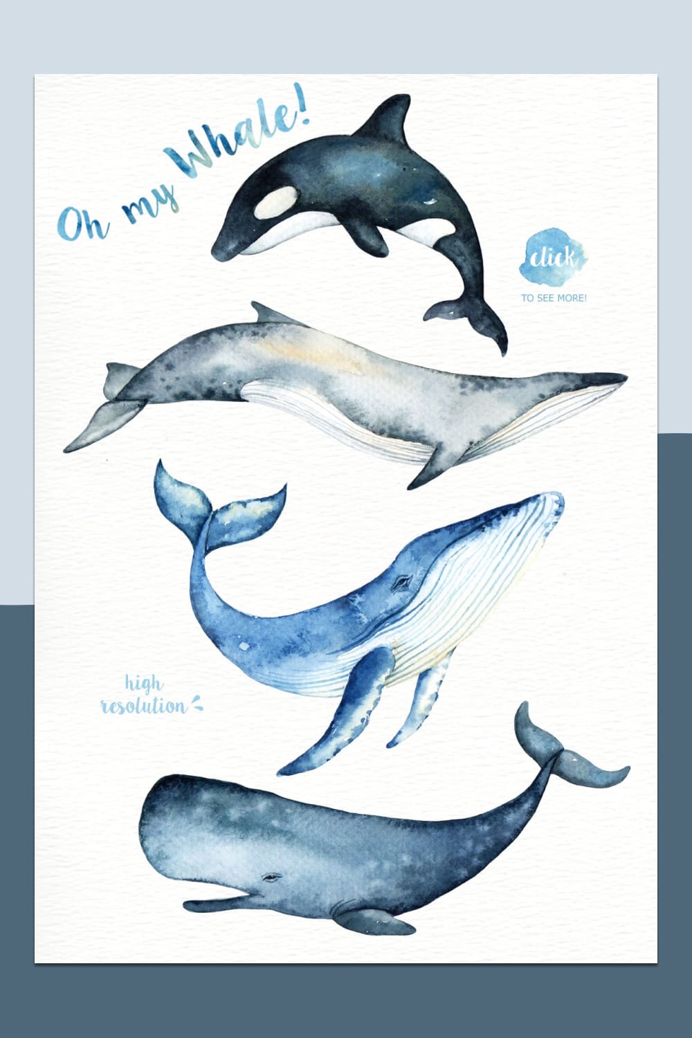 oh my whale watercolor clip arts design.