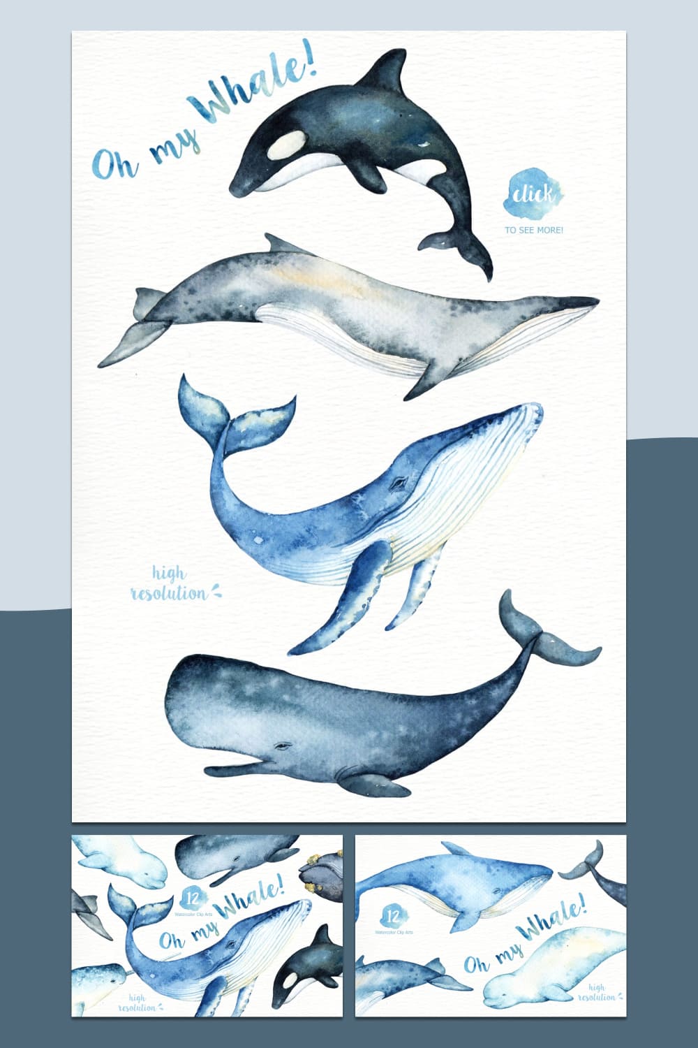 oh my whale watercolor clip arts kit.