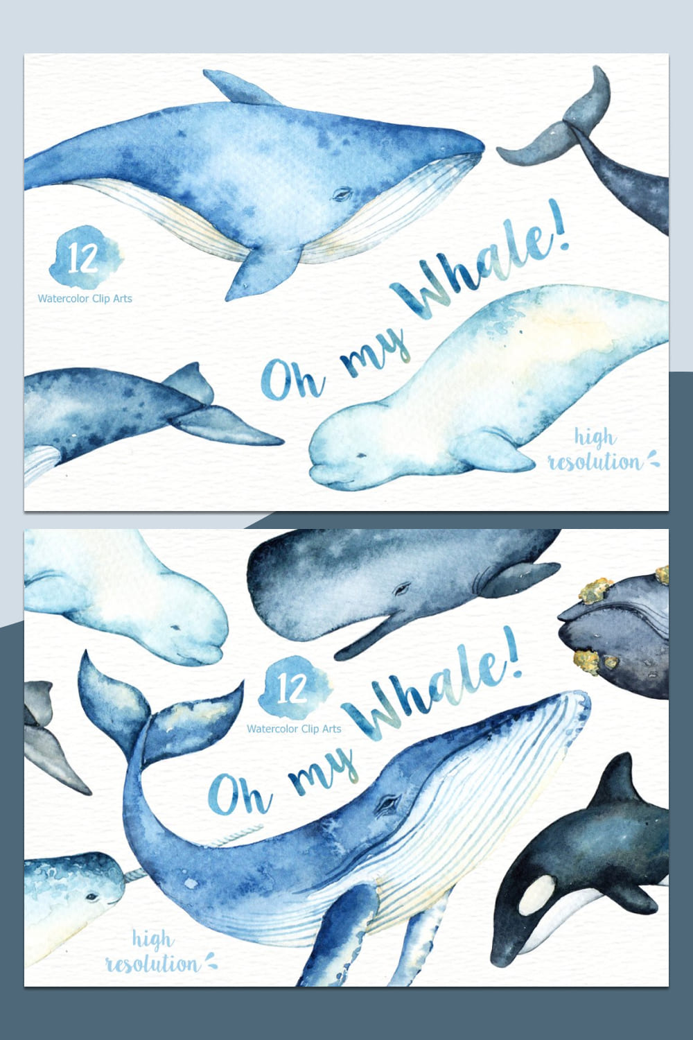 oh my whale watercolor graphics set.