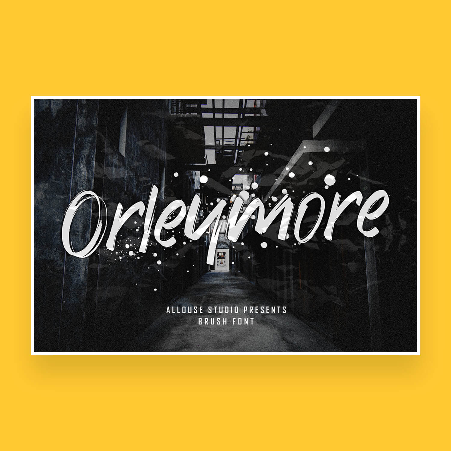 orleymore beautiful modern brush font cover image.