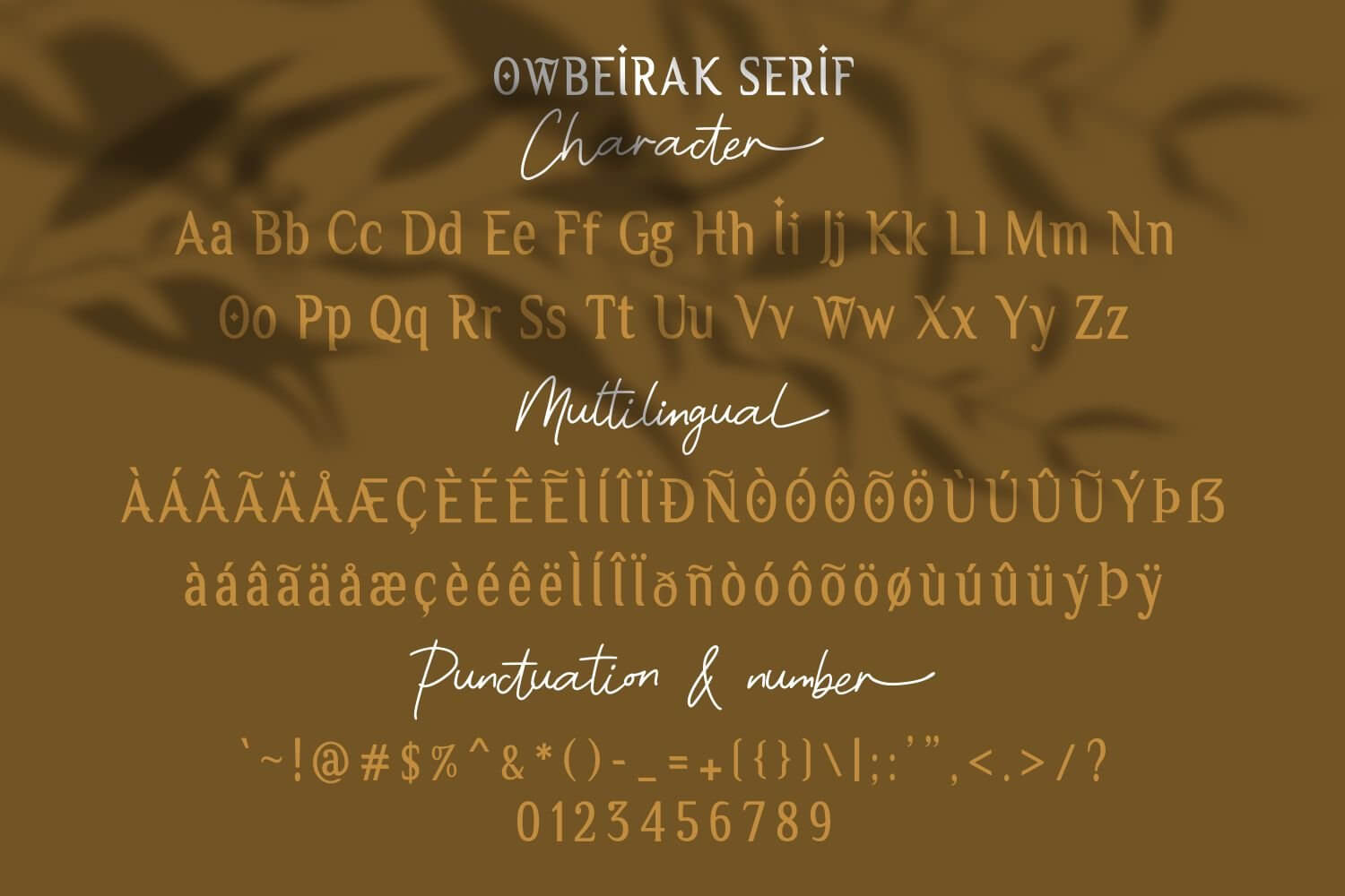 owbeirak duo serif and script collection font all multilingual symbols example.