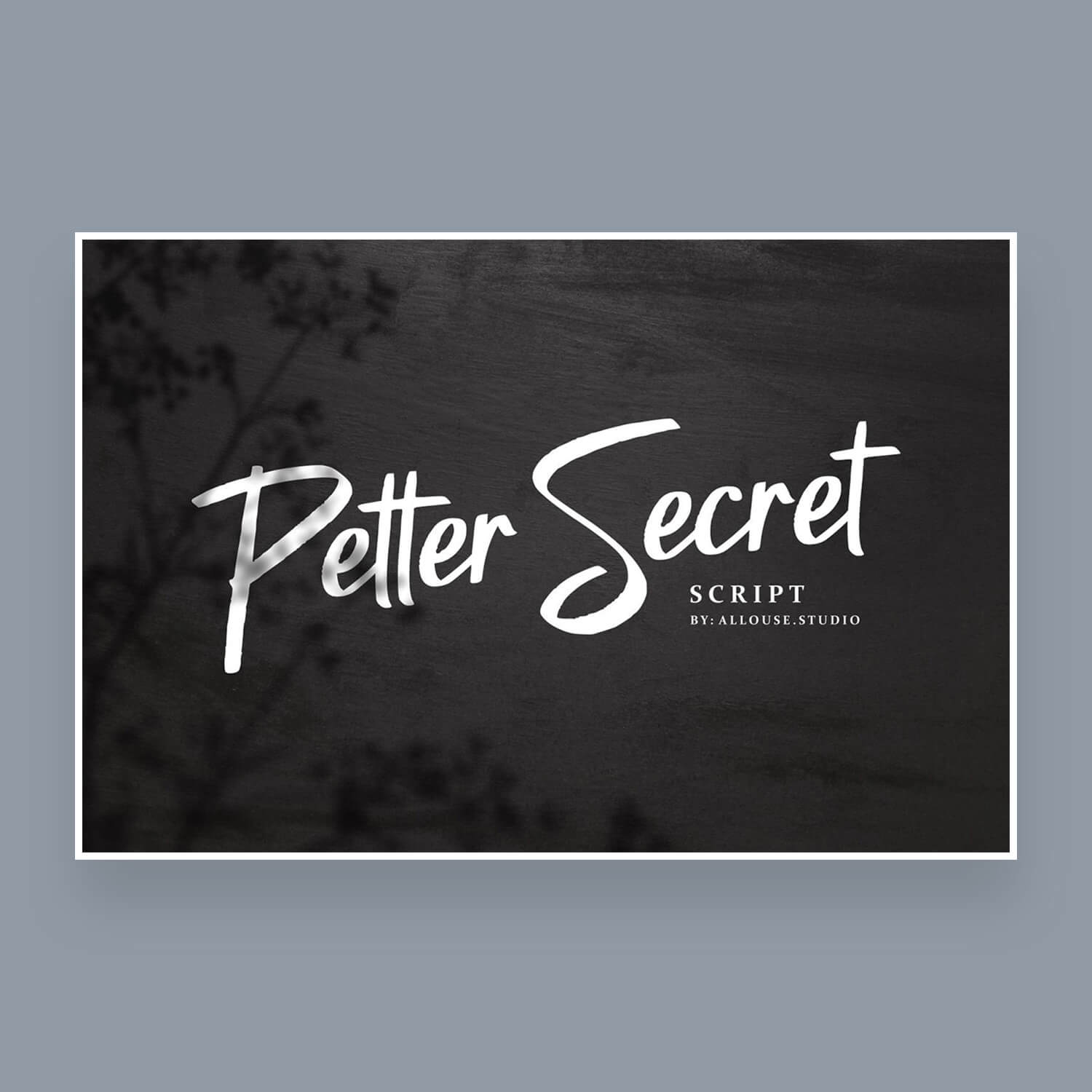 petter secret beautiful handwritten font cover image.
