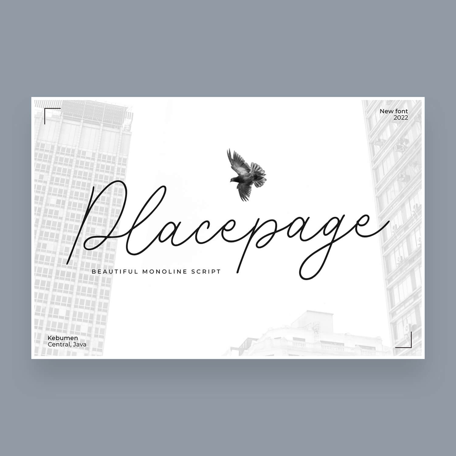 placepage a beautiful monoline script font cover image.