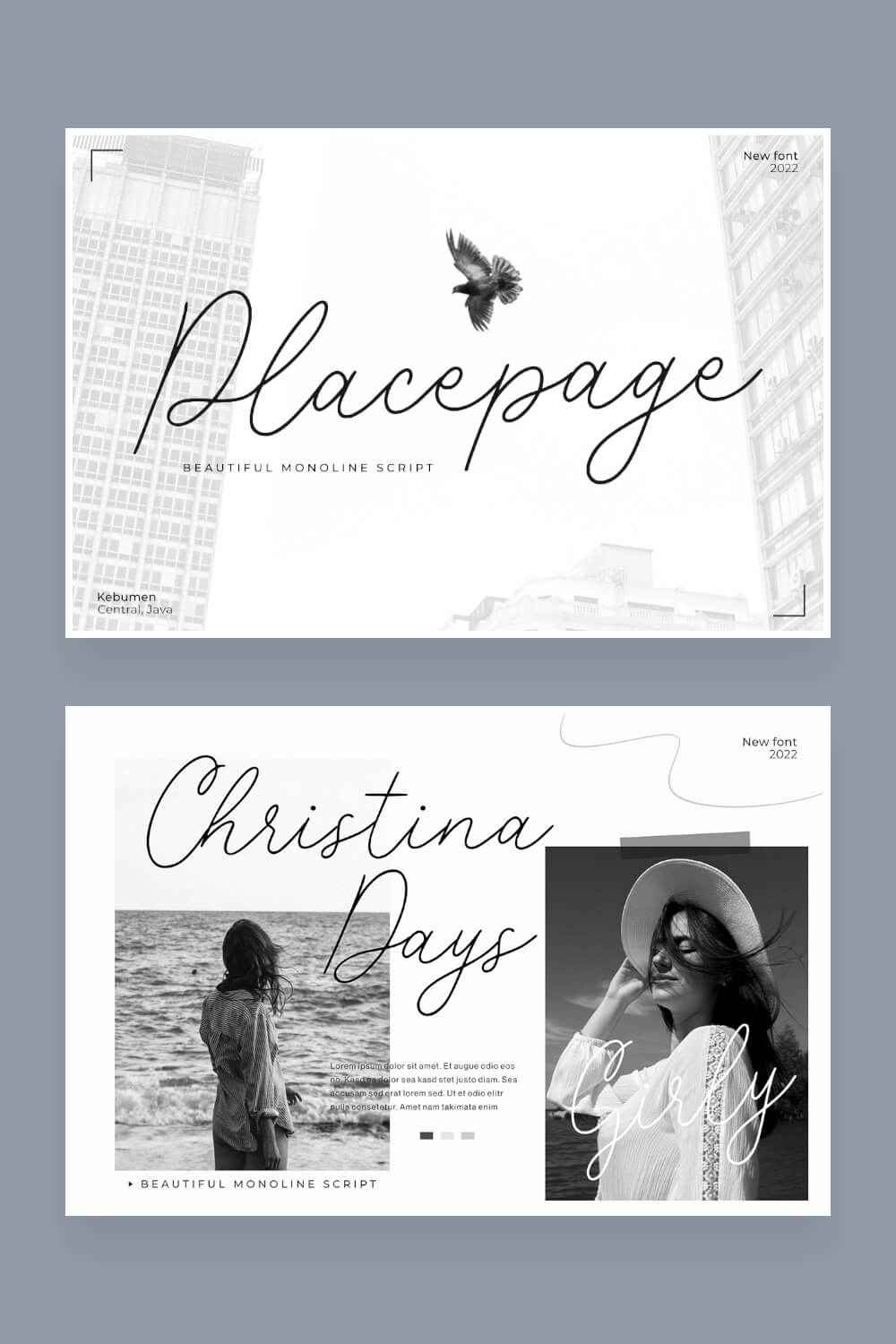 placepage a beautiful monoline script font pinterest image.