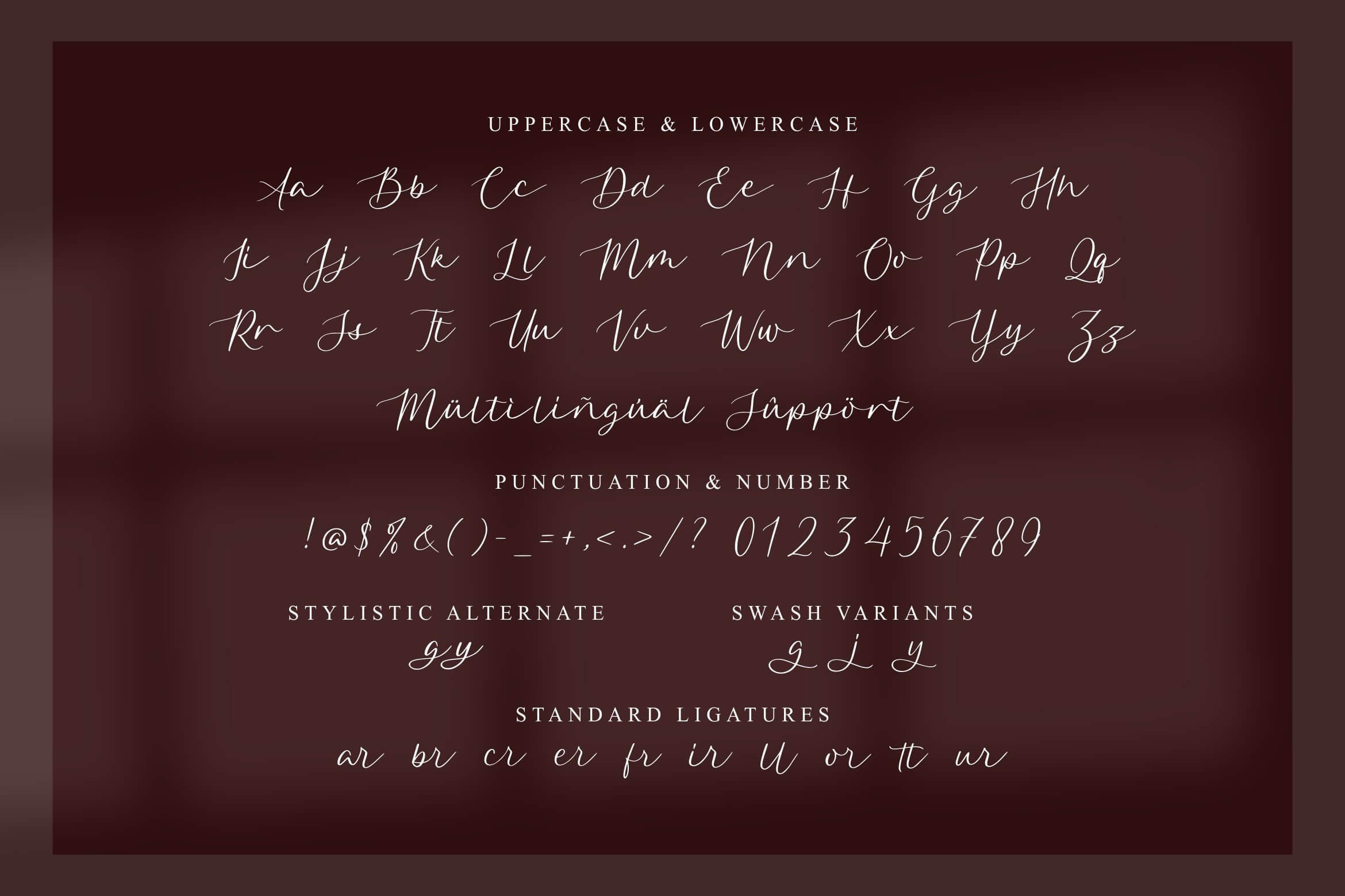 qarllottey modern elegant script font all symbols example.