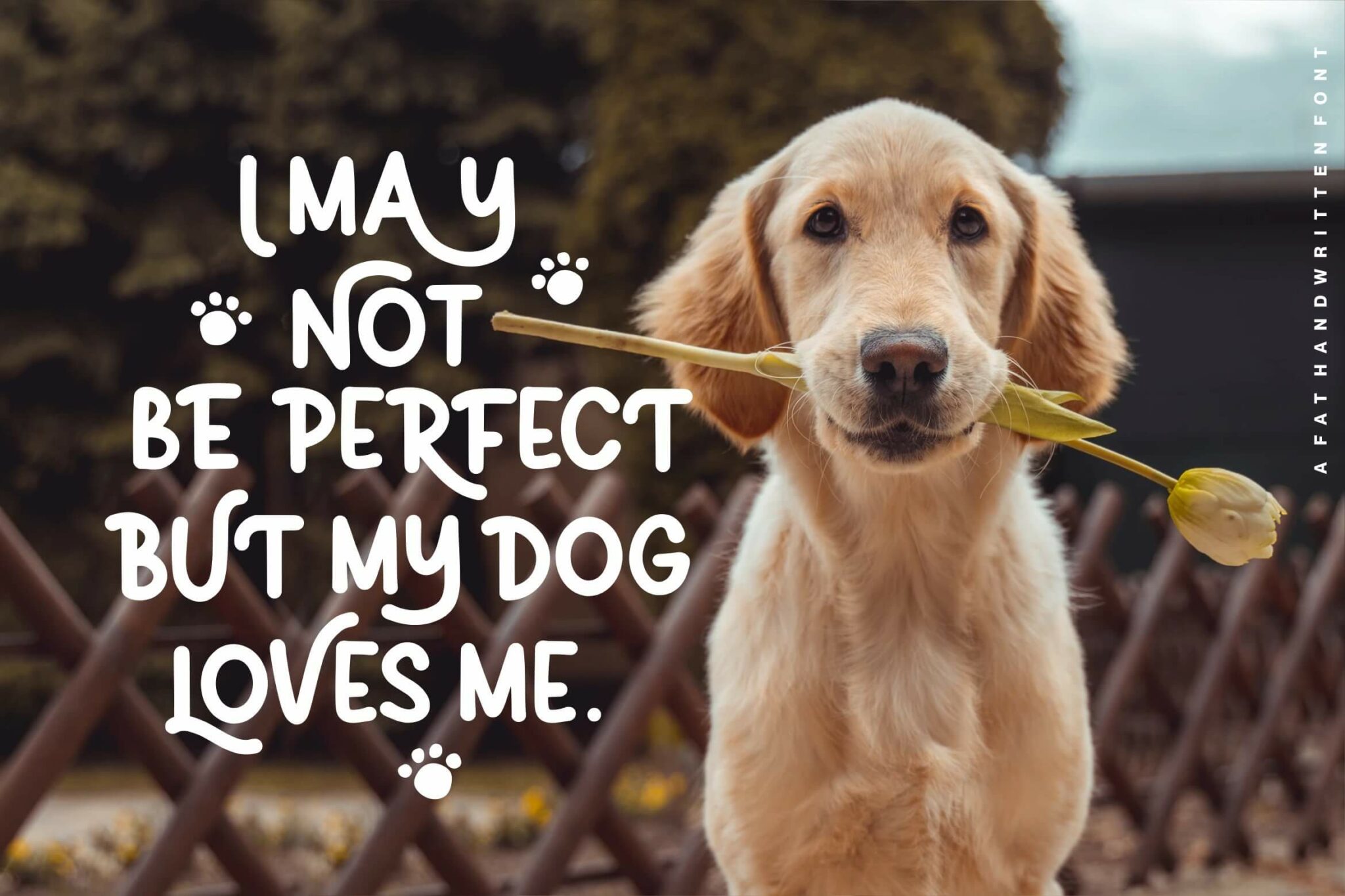 Quichflour Beautiful Fat Handwritten Font MasterBundles