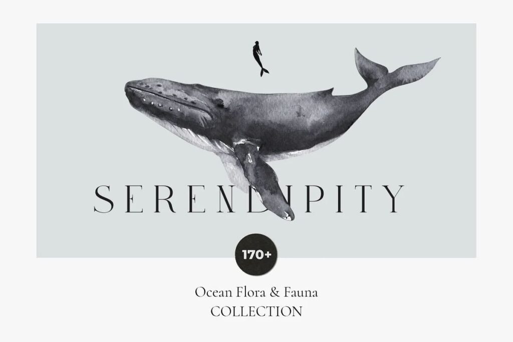 SERENDIPITY Underwater Ocean Animals Illustrations – MasterBundles