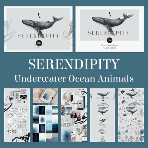 SERENDIPITY Underwater Ocean Animals Illustrations cover image.