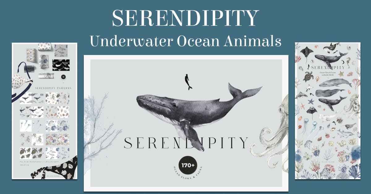 serendipity underwater ocean animals collection.