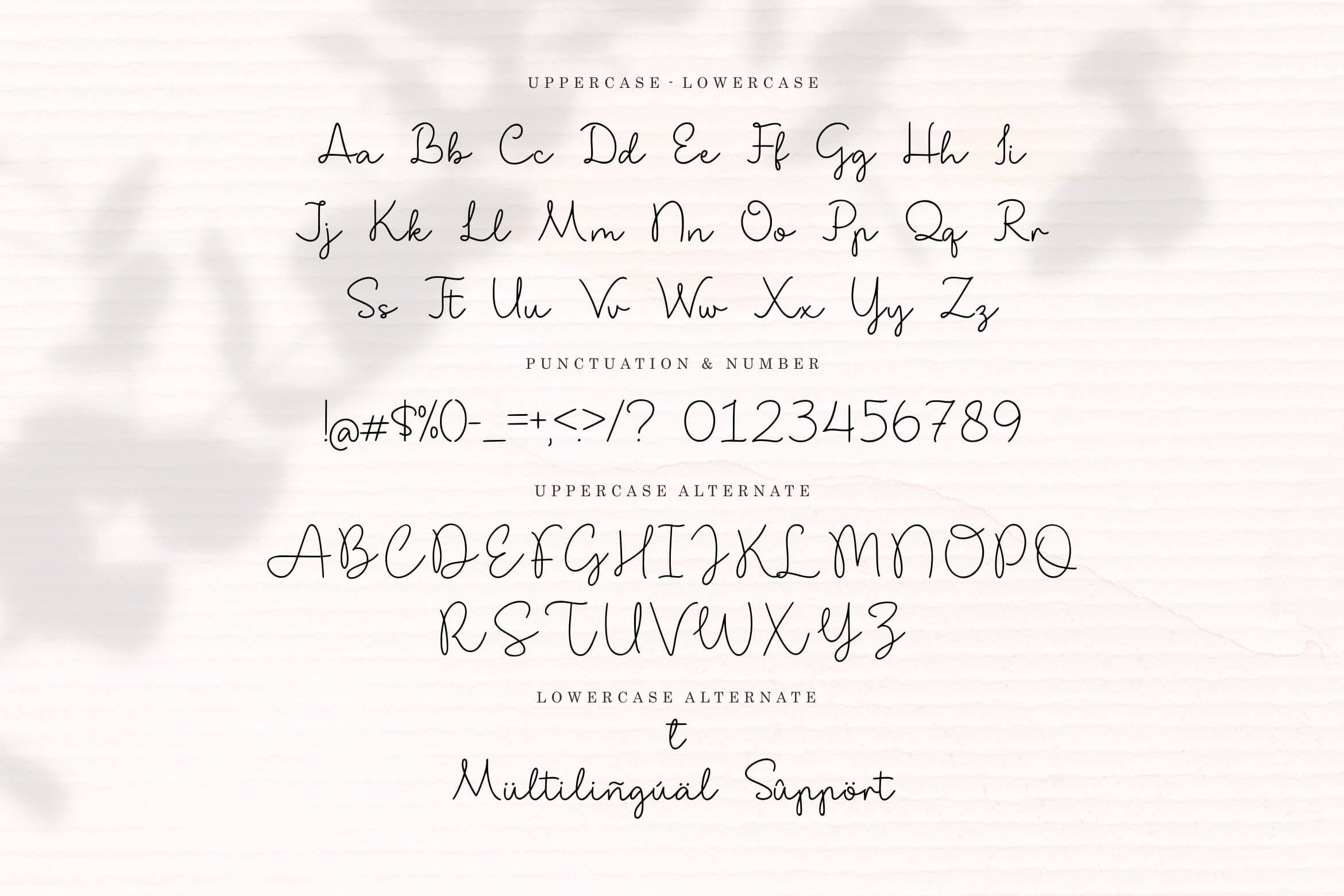 shibalady stylish handwritten script font all symbols example.