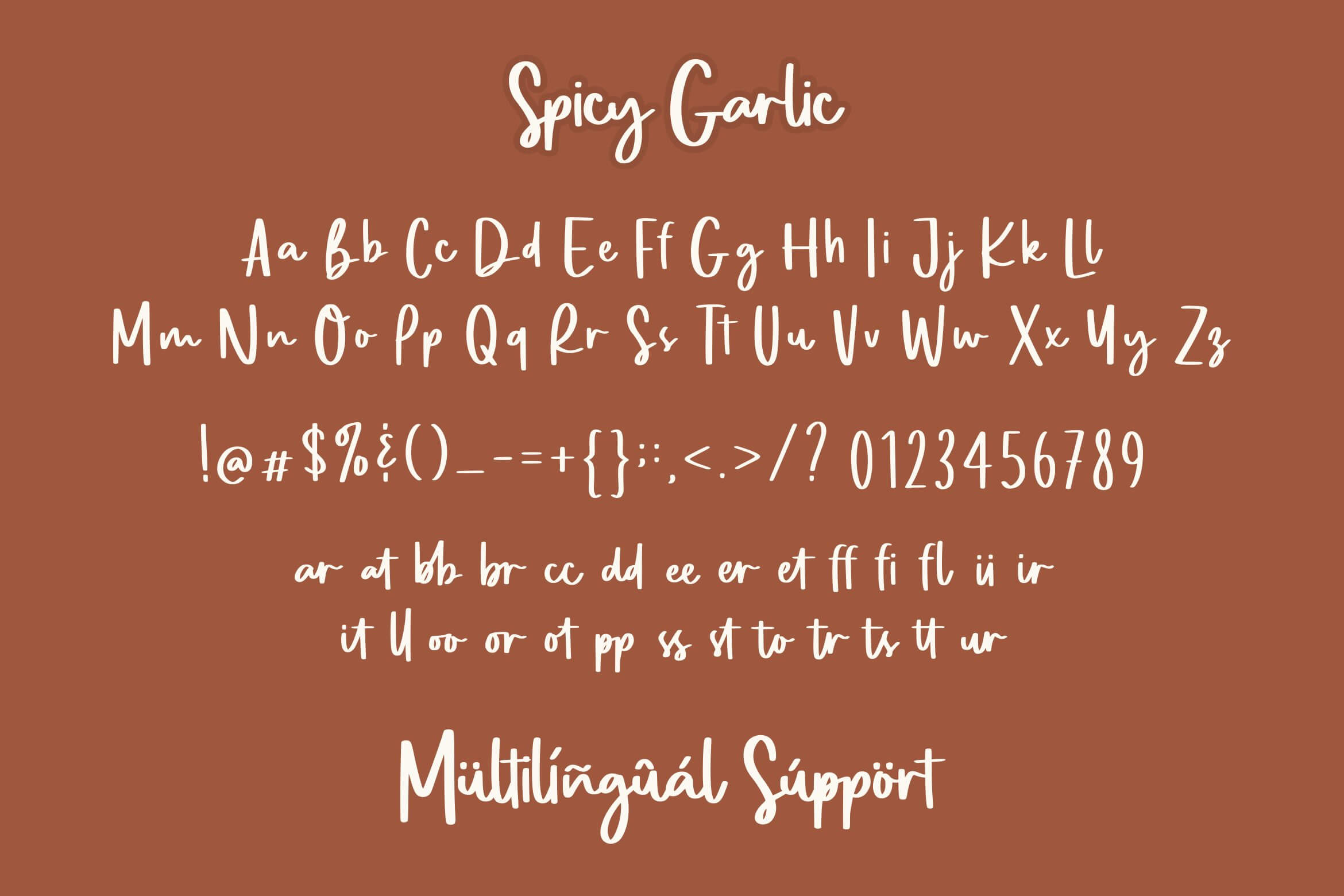 spicy garlic amazing handwritten font all symbols example.