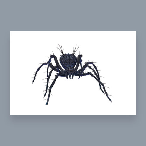 Scary Spider Clipart: 7 images cover image.