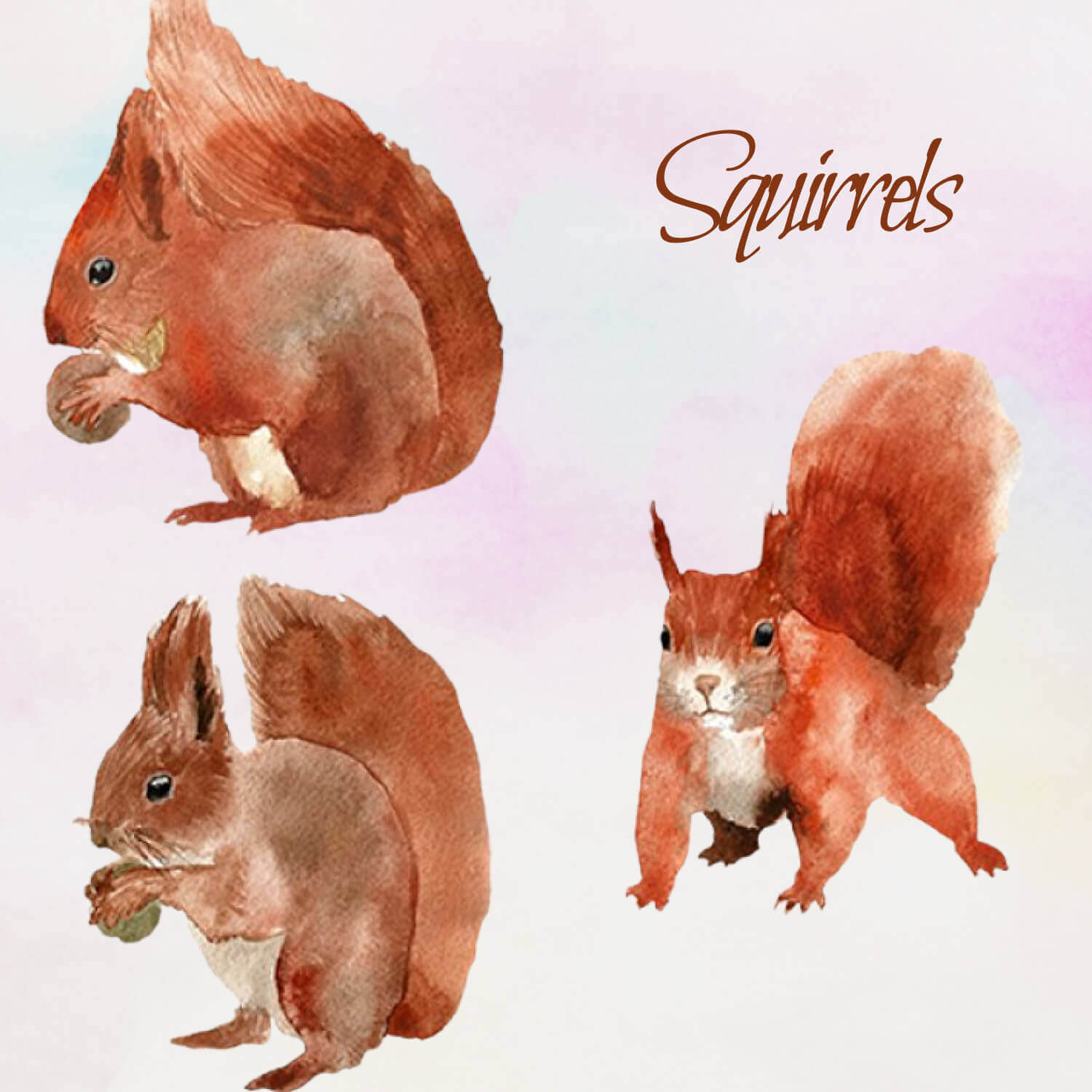 Squirrels with nuts painted in watercolor.