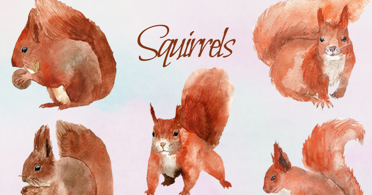 A lot of squirrels in motion painted in watercolor.